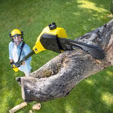 Best Lawn Watering Services  in New Bern, NC